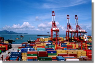 扬州到番禺集装箱海运物流运输服务与运输代理