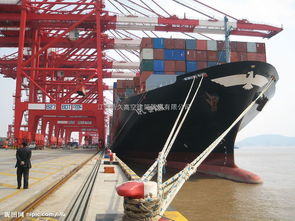 专业高架、龙门及码头吊车防腐服务 全面防护与价值解析